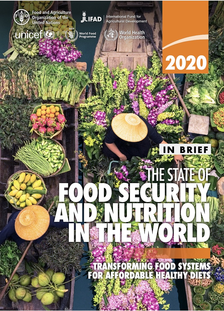 △《2020年世界粮食安全和营养状况报告》封面 （图片来源：联合国粮农组织官网）