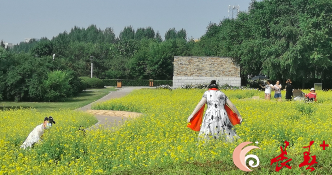 长春花卉批发基地