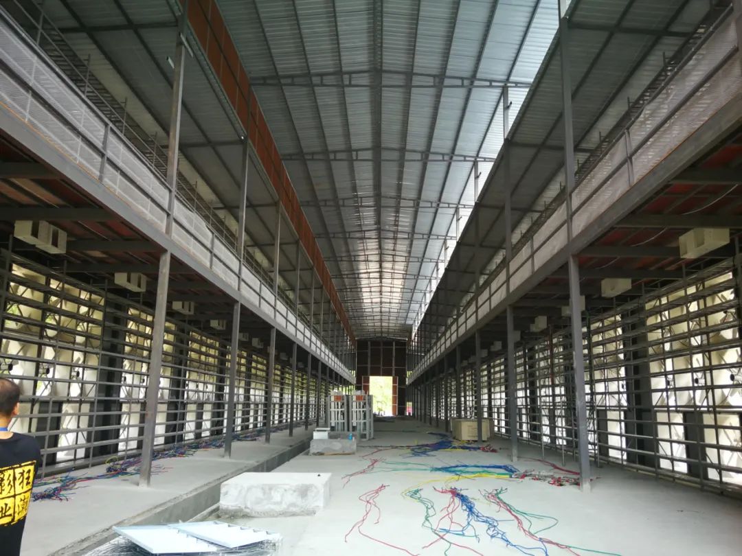 直击矿场游学云南行算力大学拍了拍你这个矿场不一般