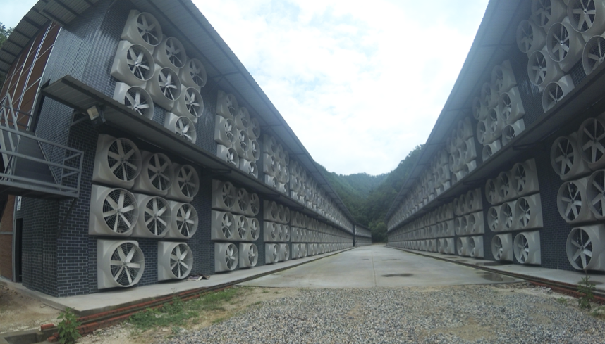 直击矿场游学云南行算力大学拍了拍你这个矿场不一般