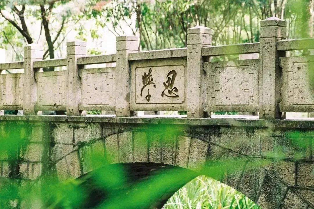 上海师范大学2020年_上师大玉兰筝团2020年回顾