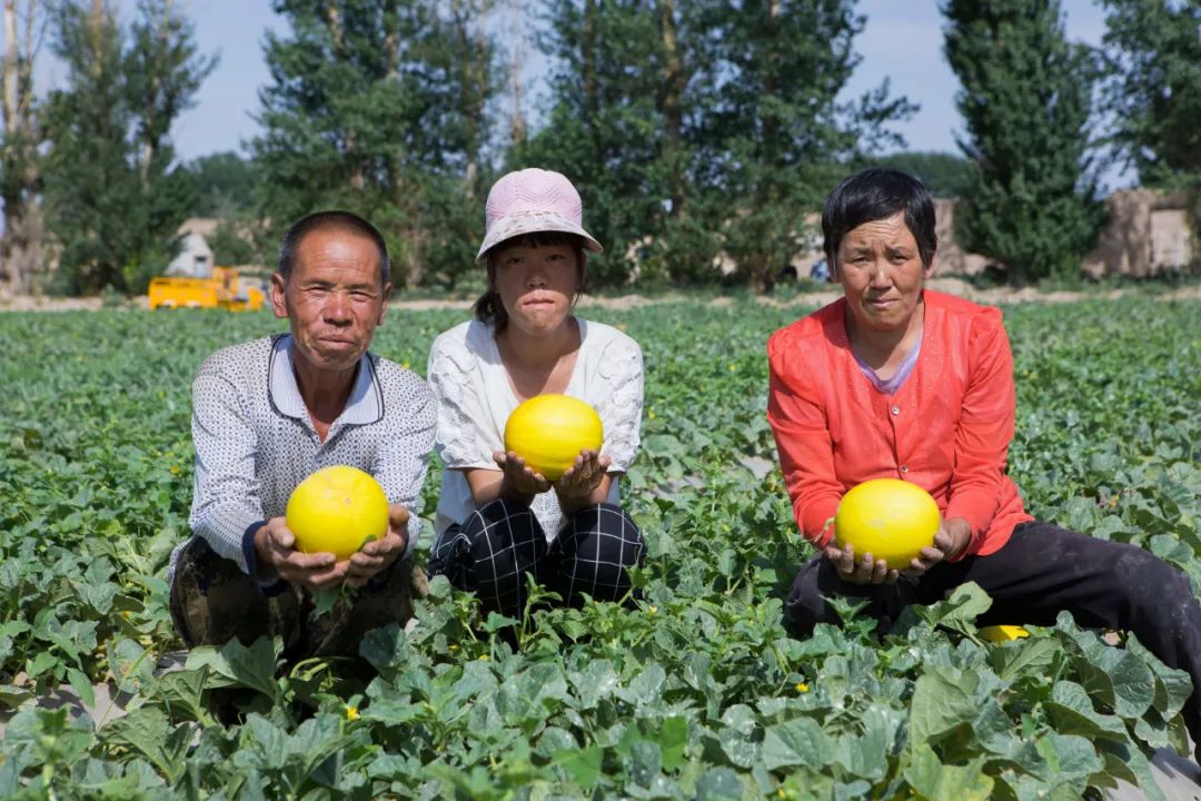 当一个好的吃瓜群众应该吃这样的瓜