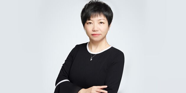 粤港澳gdp_伟达中国加速布局粤港澳大湾区,擢升印红负责业务拓展