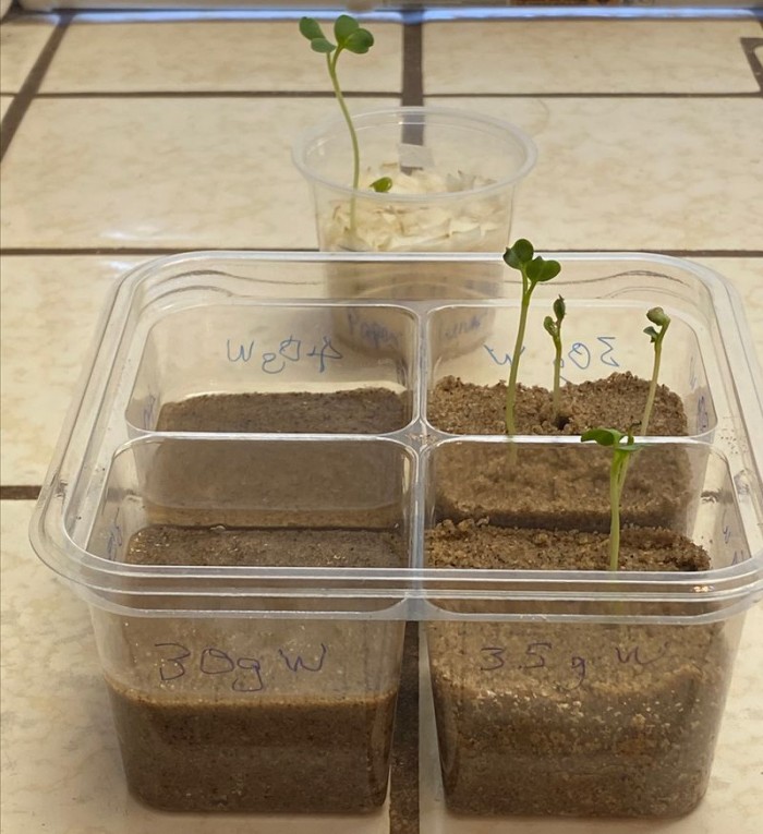 图 为殖民月球做准备nasa科学家积极研究不同土壤环境下的植物生长 手机新浪网