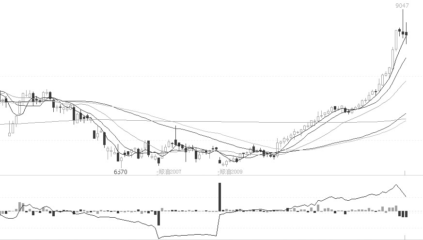 圖為鄭油主力合約日線