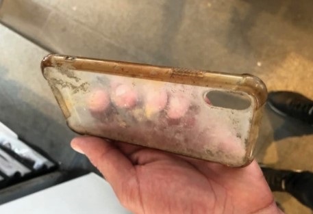 [IT之家]iPhone X掉入15米深海底 6天后找到依然运行正常IT之家2020-07-27 07:19:140阅