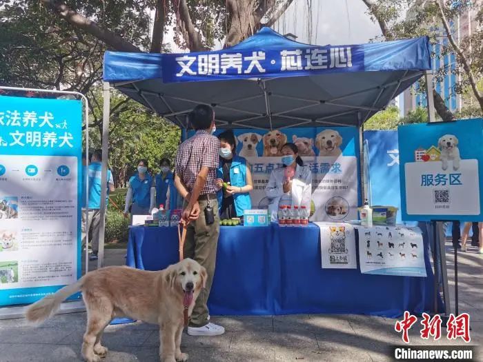 图为“文明养犬·芯连心”犬只芯片植入进社区活动现场。  崔松 摄