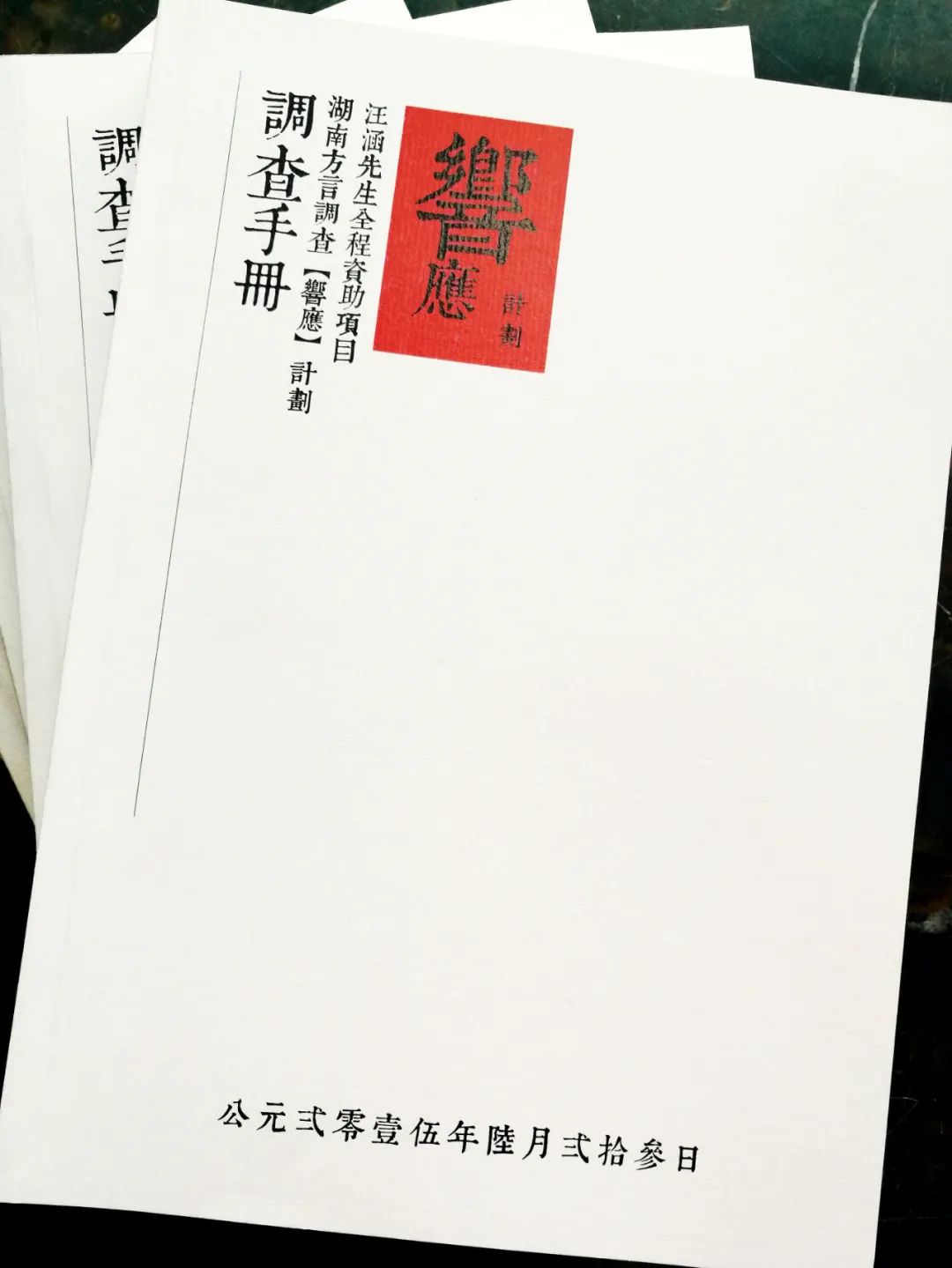 汪涵：一个“策神”的抢救方言之路