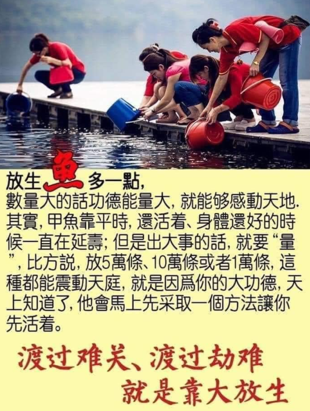 我还看过一本关于放生的宣传册,上面写着放生鱼卵,可抵亿万功德,说杀