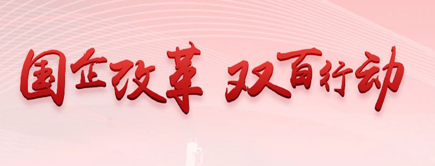 深入推动双百行动持续释放改革红利