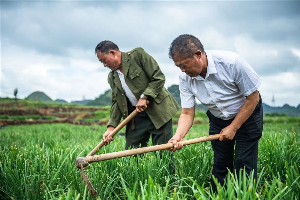 2001年从部队退役,杨兵打过工,种过菜.