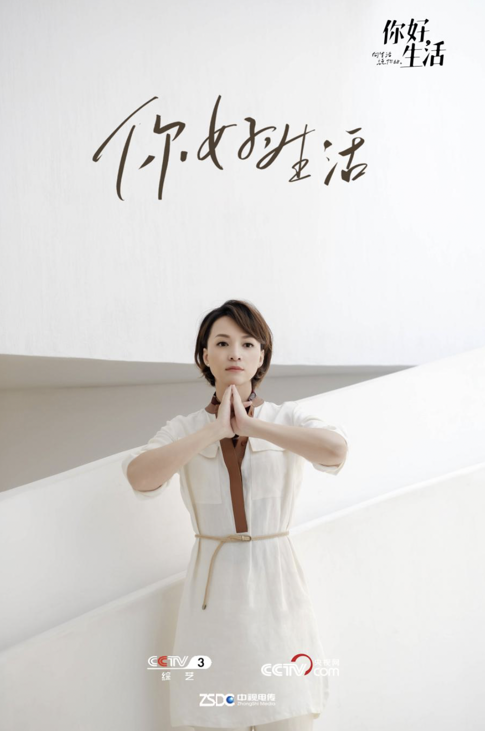 你好生活特别节目暖心播出董卿畅谈生活中的人之美