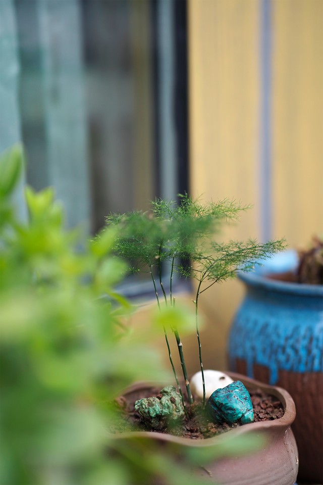 「中关村在线」轻巧微单旗舰 奥林巴斯E-M1 Mark III评测中关村在线2020-08-11 07:16:200阅