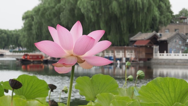 「中关村在线」轻巧微单旗舰 奥林巴斯E-M1 Mark III评测中关村在线2020-08-11 07:16:200阅