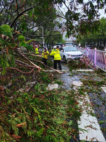 狂风暴雨一秒天黑福建遭遇罕见一手台风生成到登陆不足一天