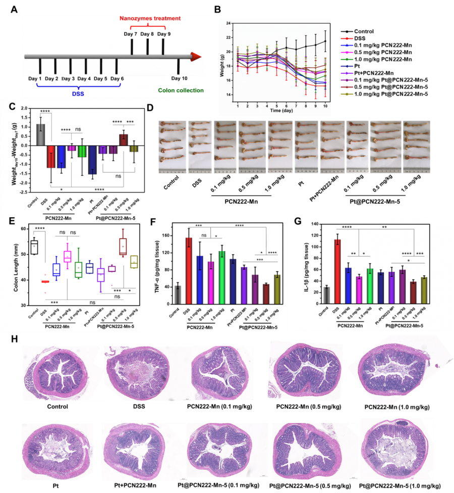 级联菜单和触发器的应用 主外键和触发器在数据库中扮演什么角色