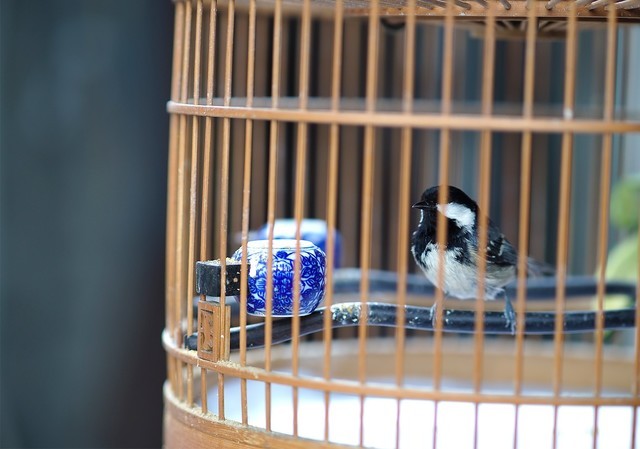 「中关村在线」轻巧微单旗舰 奥林巴斯E-M1 Mark III评测中关村在线2020-08-11 07:16:200阅