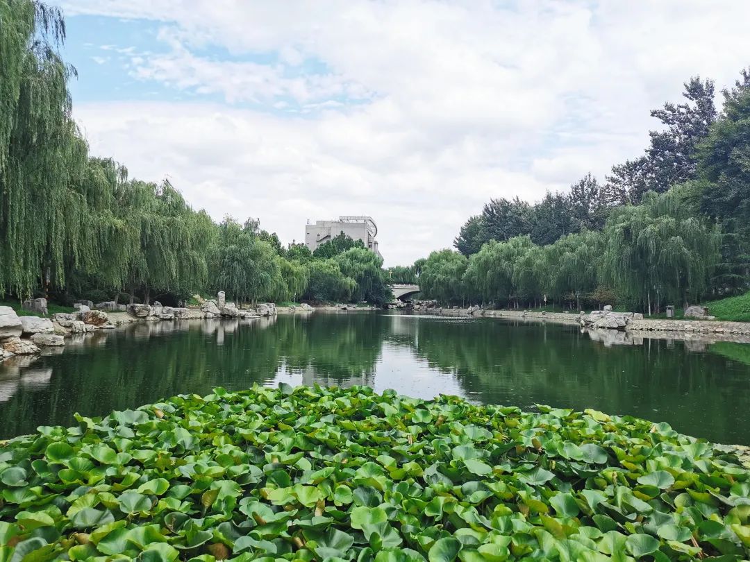 你见过雨后的甲子湖瀑布吗带你解锁济大的隐秘角落