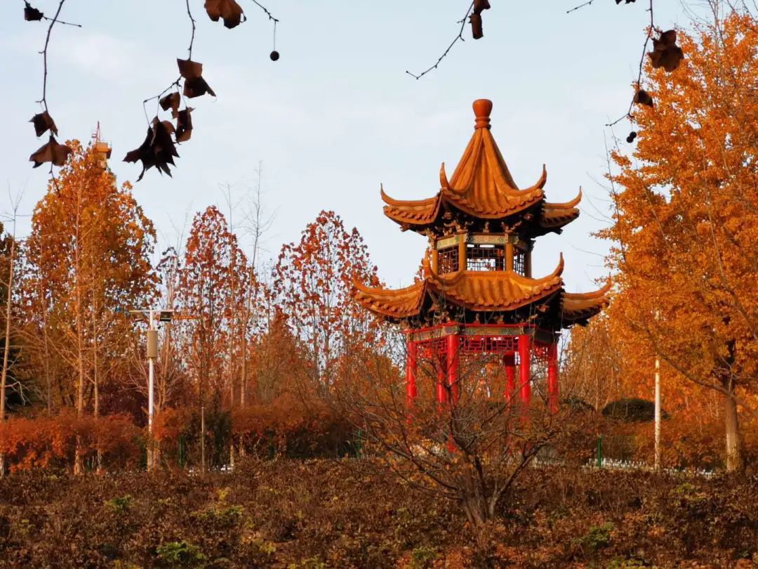 你见过雨后的甲子湖瀑布吗带你解锁济大的隐秘角落