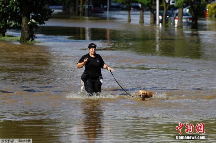 资料图：费城市民在过膝的积水中遛狗。