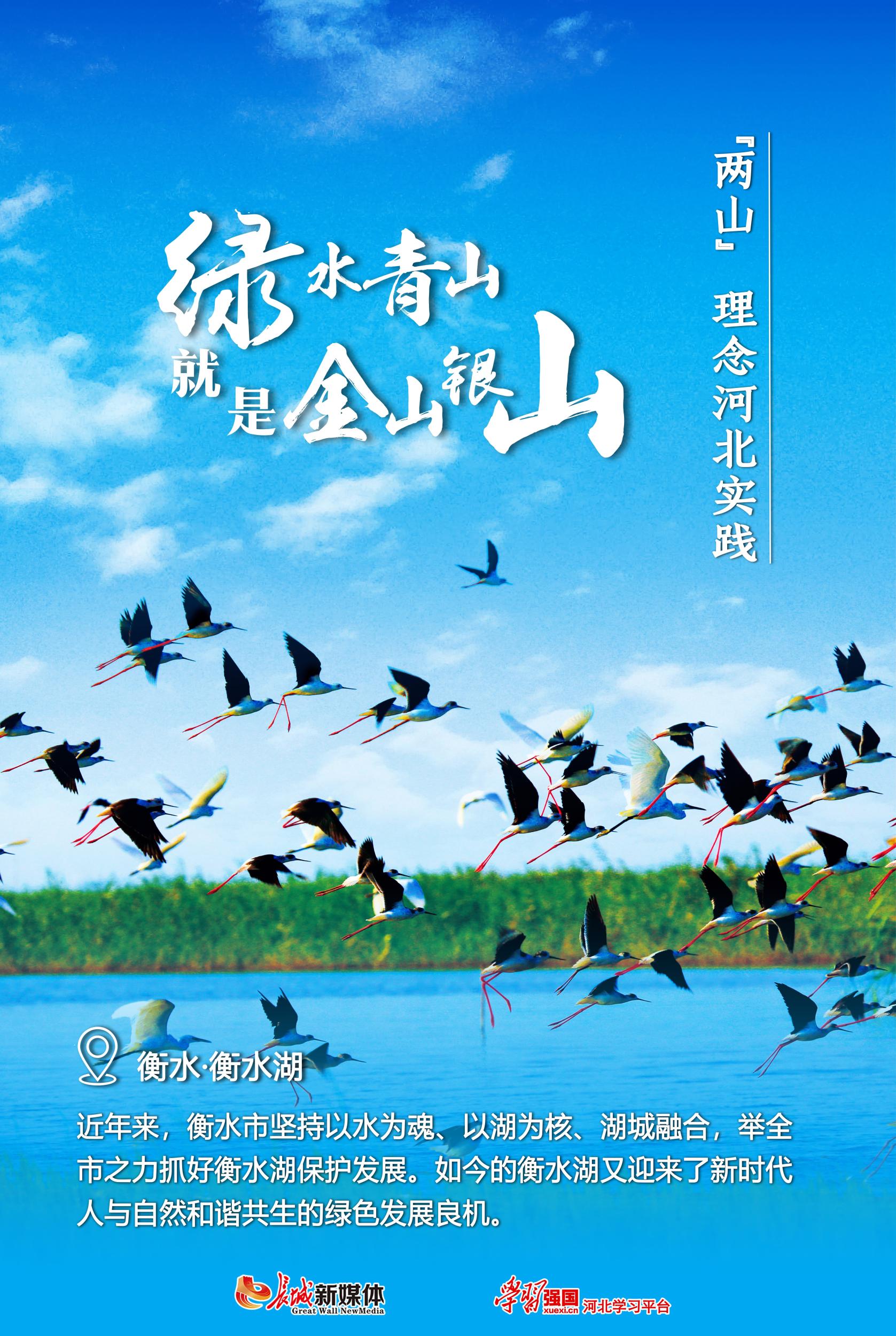 海报集丨"两山"理念河北实践