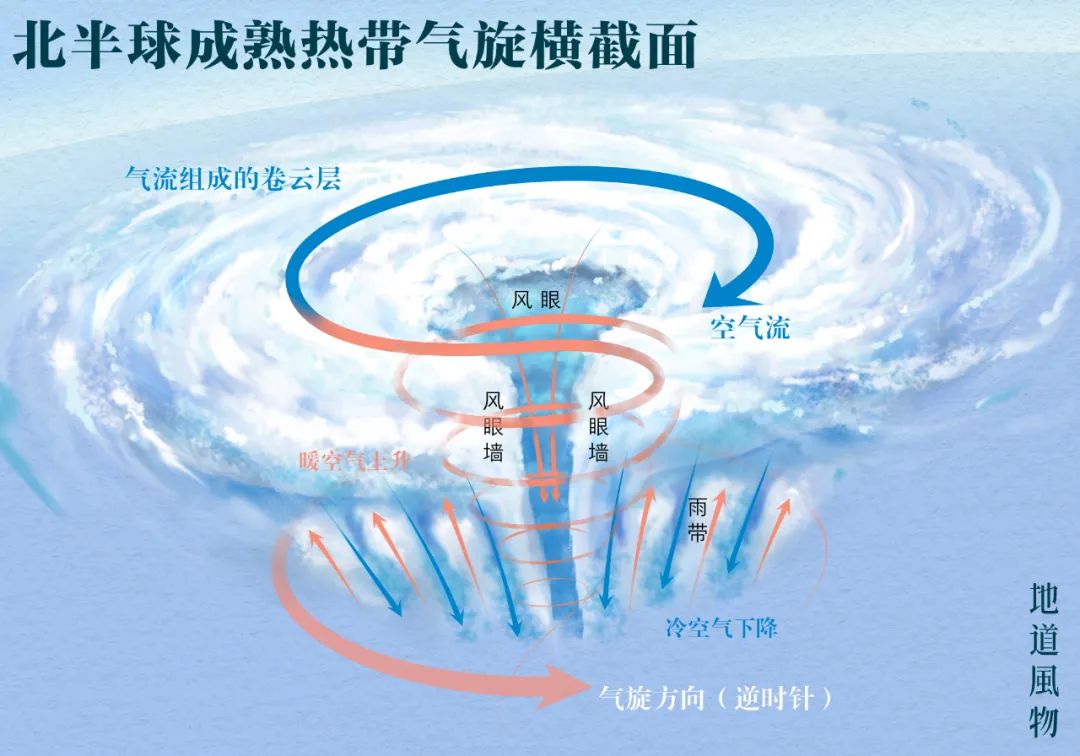 台风构造示意图图片