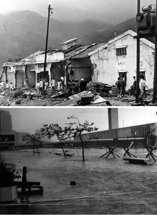 ▲ 1956年8月，台风”温黛“造成了重大人员伤亡。图片/网络