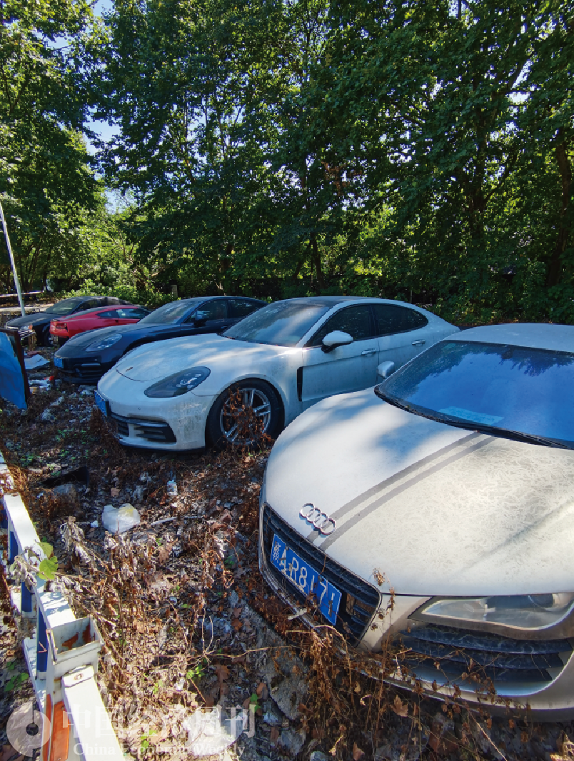 杭州惊现豪车坟场500万宾利废弃长草