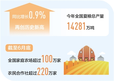 上半年农业增加值同比增长3.8% 粮食丰收有保障