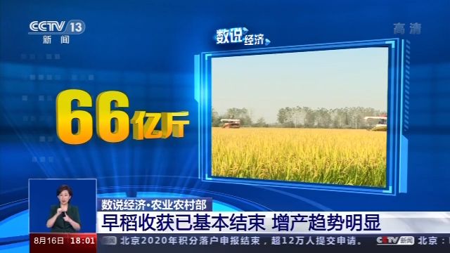 66亿斤、31.7亿元、超2000列，中国经济这些领域成就了解一下