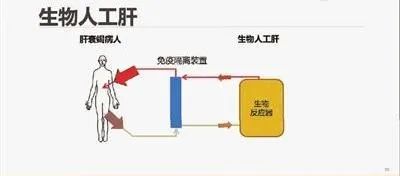 图片来源于网络