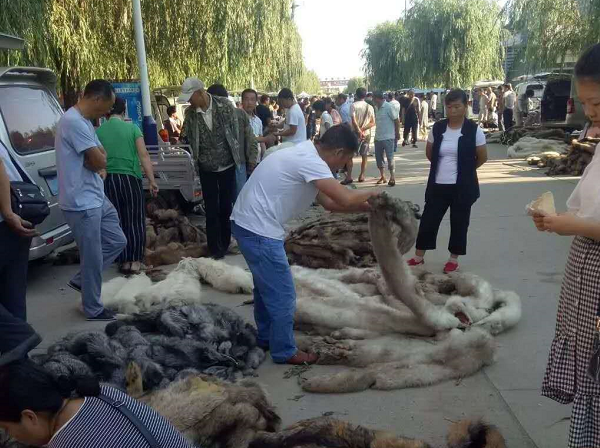 前几年8月份的尚村皮毛市场交易很热闹 图片来源：齐先生供图