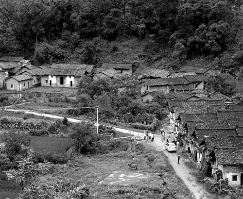 红色村 脱贫 密码 手机新浪网