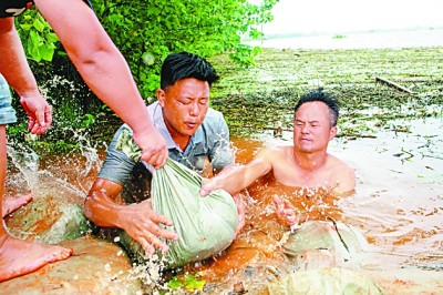 7月16日，江西永修县三角乡建华村村民自发封堵圩堤上的两处管涌。李隽辉摄