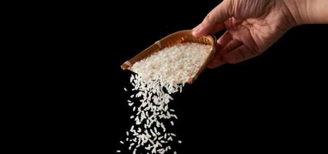 我国夏粮产量创新高、小麦增产 分析人士：无需为粮食供应而恐慌