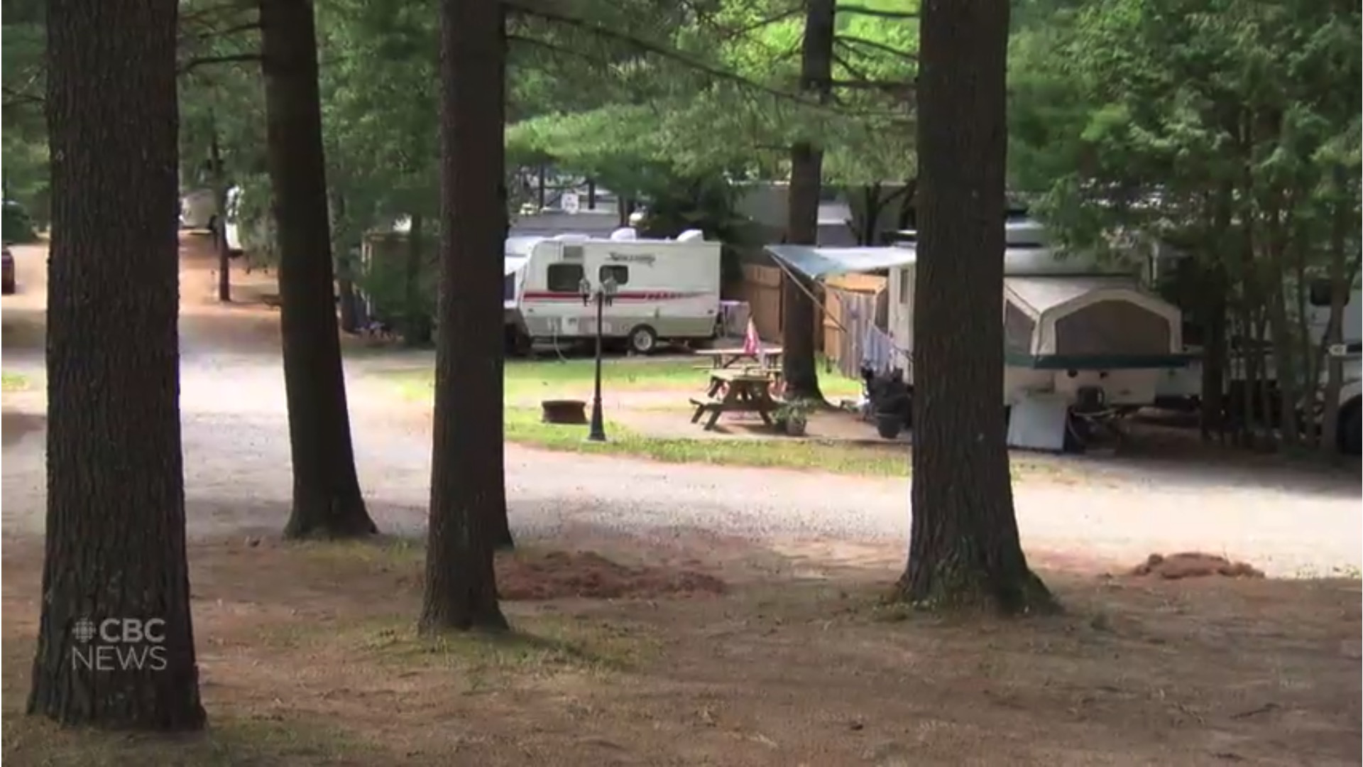 加拿大野外露营者激增遗留垃圾污染环境影响野生动物 手机新浪网