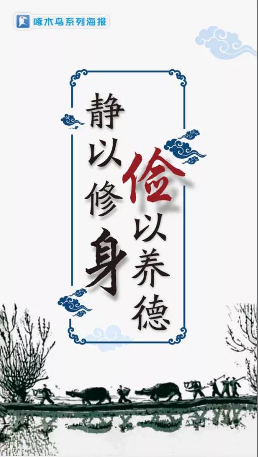 啄木鸟海报静以修身俭以养德