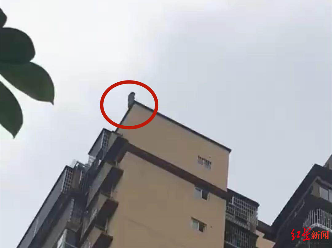 4岁半小孩跳下26楼 学动画片用雨伞当降落伞 身体骨折幸无生命危险_凤凰网视频_凤凰网