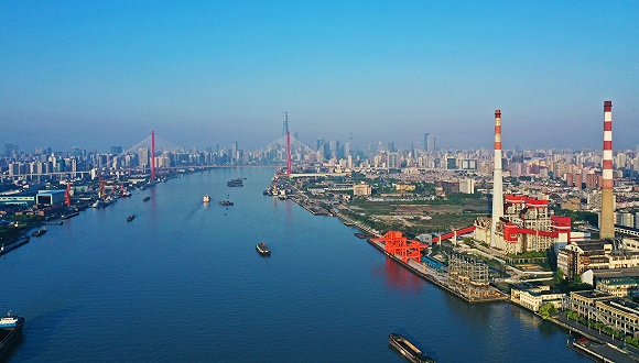 杨浦区重点高中排名_上海这4个区,想要考进头牌高中必须排到前3%!