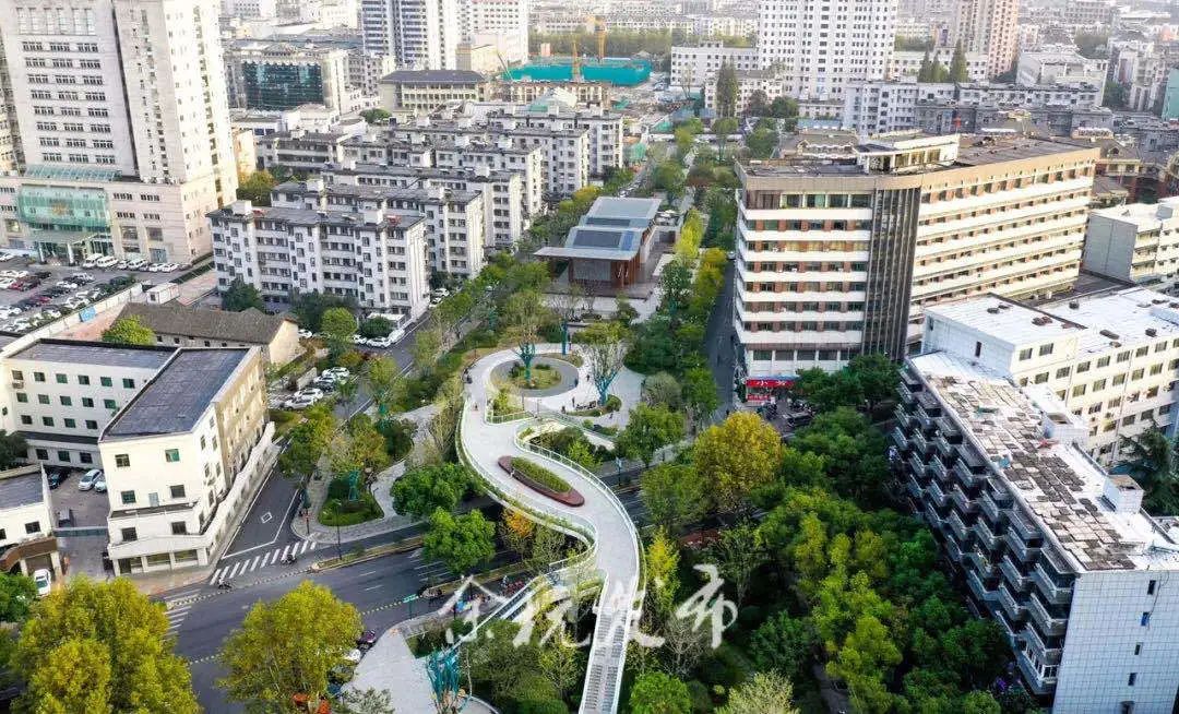 图片来源：余杭发布