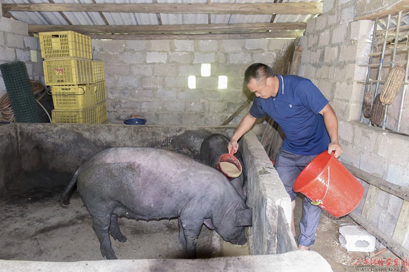 还得继续撸起袖子加油干!