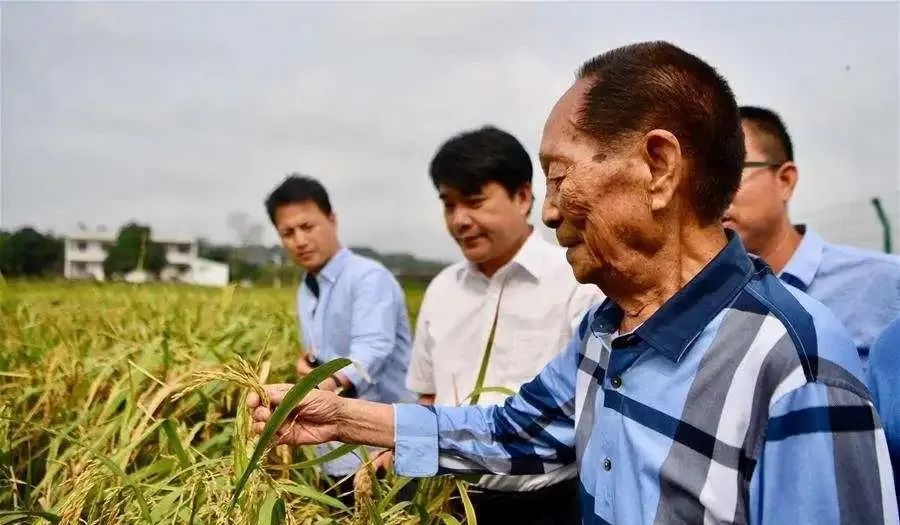 #袁隆平#90岁生日快乐！袁隆平爷爷