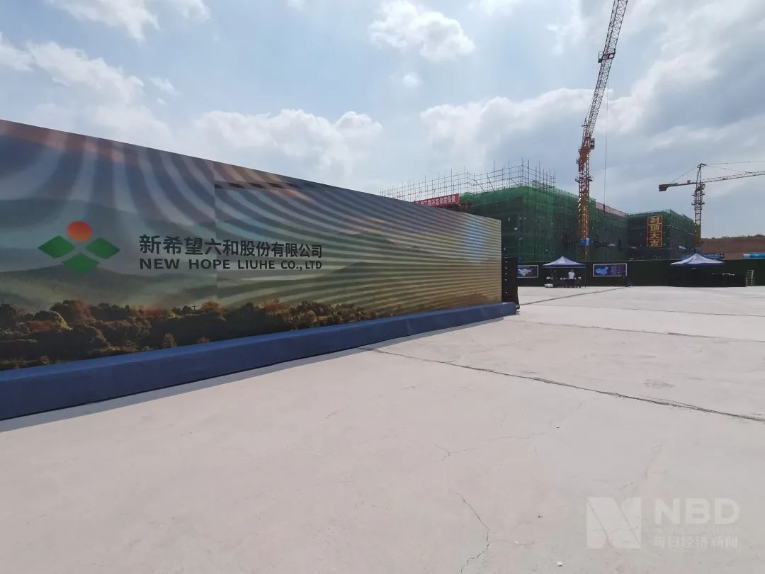 盖楼养猪火了：四川人建8层楼，湖北人建17层楼