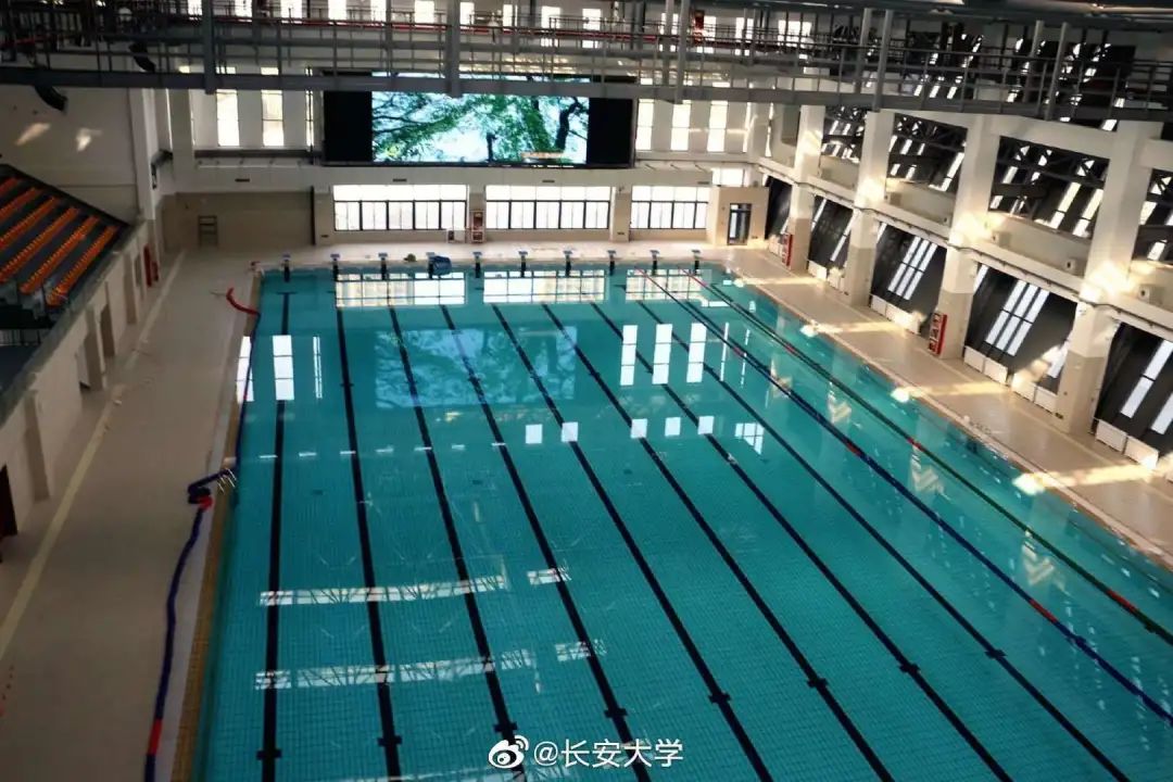 浙江财经大学 游泳馆图片