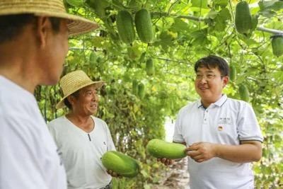 ▲江苏省徐州新沂市唐店街道后滩村第一书记杨夫垒帮村民搞种植、找销路。