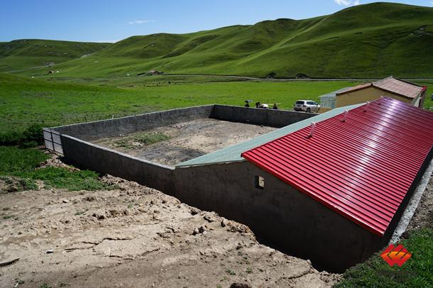 国电电力精准帮扶暖棚让藏区牛羊迁新居