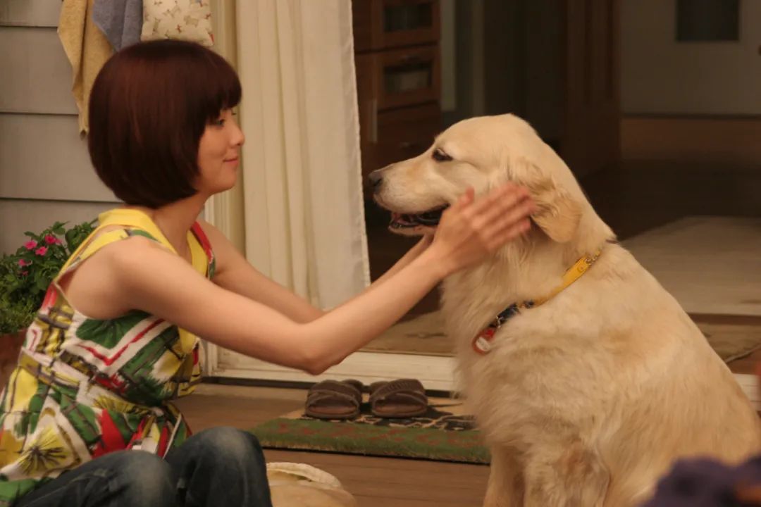 过了四,五天,狗找到了.我妈亲自上门,把狗从偷狗者家里抢回来的.