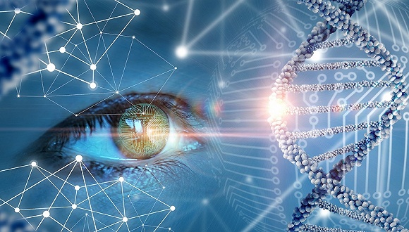 图片来源：视觉中国