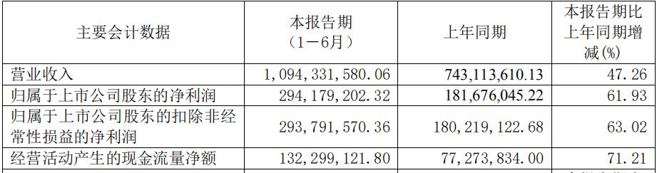 图源：艾迪精密半年报