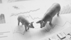 猪价上行助推业绩 多家上市猪企7月大丰收